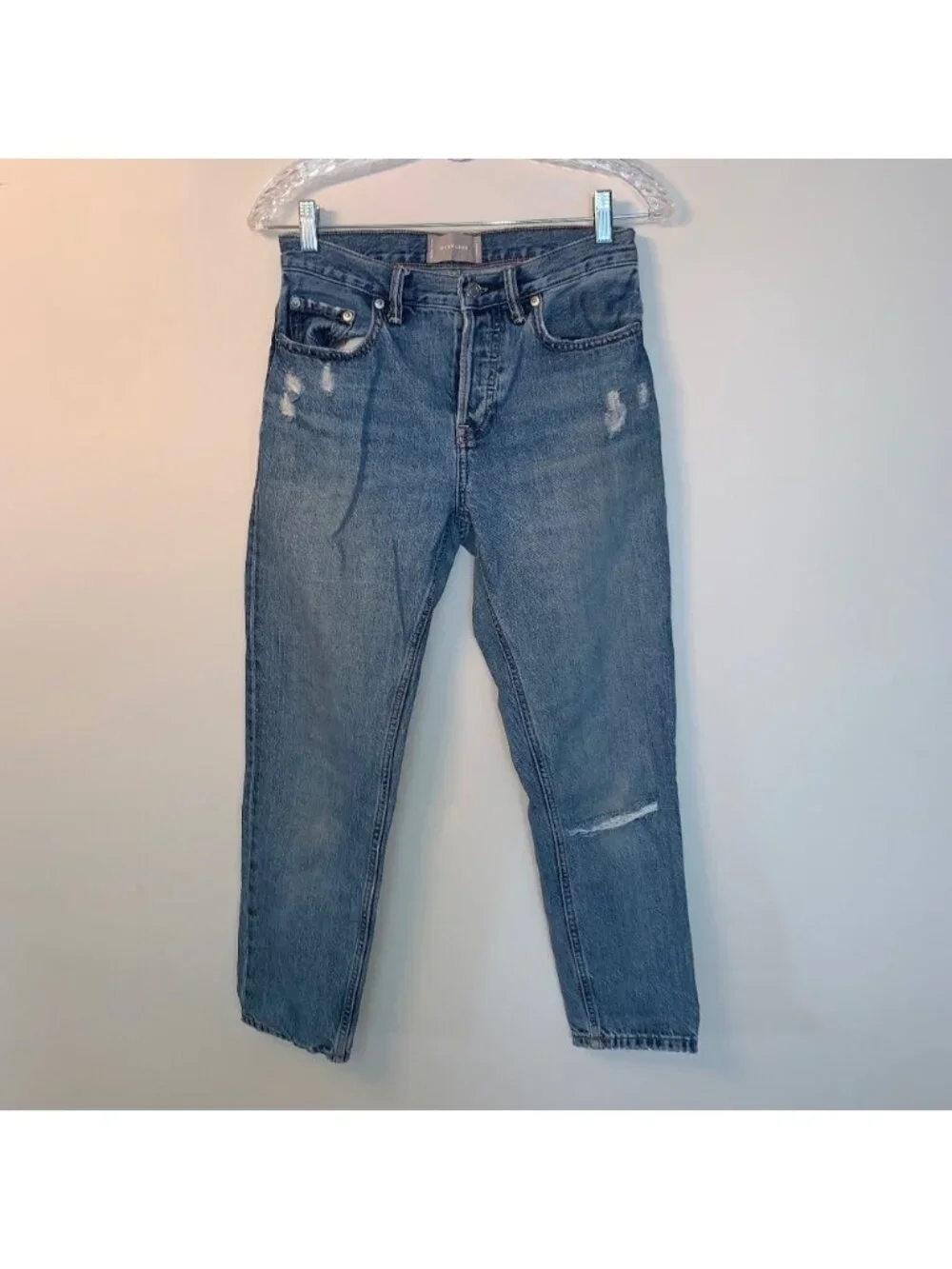 Everlane O-S Boy Friend Distressed Cropped Blue Jeans 25